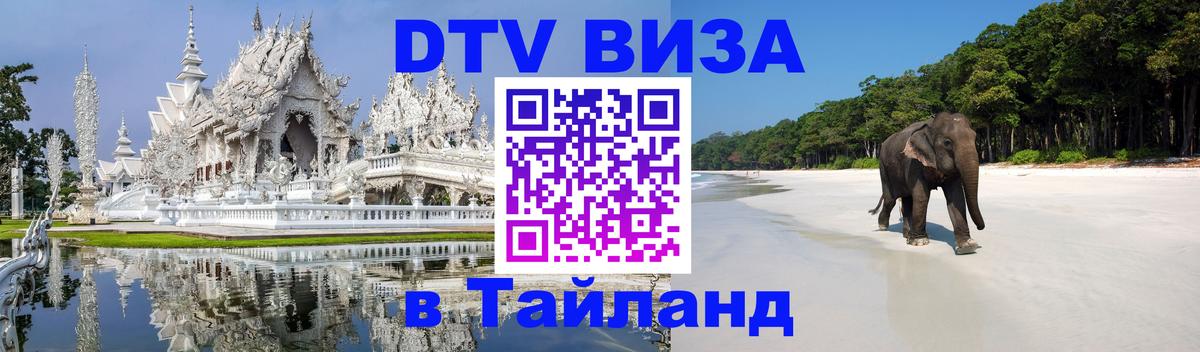 Оформление DTV визы под ключ: стоимость и тарифы, только загранпаспорт - Саратов 